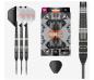 Preview: Target RAYMOND VAN BARNEVELD RVB 95 x ECHO - 21 Gramm