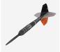 Preview: Target RAYMOND VAN BARNEVELD RVB 95 x ECHO - 21 Gramm