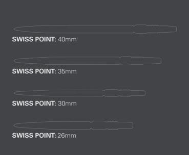 Preview: Target SWISS CHRONO Points   -   Silver   -   30 mm