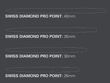 Preview: Target SWISS DIAMOND PRO Points   -   SILVER  -   30 mm