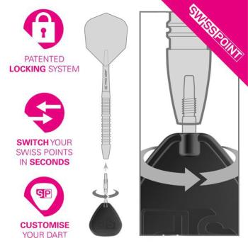 Preview: Target SWISS STORM DIAMOND Points   -   Silver   -   35 mm