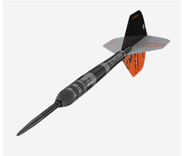 Target RAYMOND VAN BARNEVELD RVB 95 x ECHO - 21 Gramm